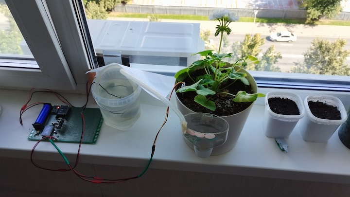 Device and plant in one photo.